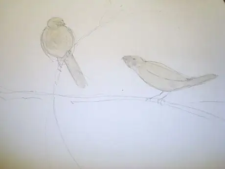 Maskedbirds Maskedbirds