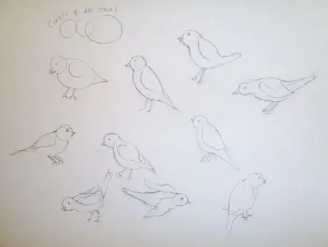 Drawsomebirds Drawsomebirds