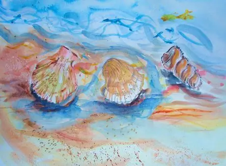 Морские ракушки Морские ракушки