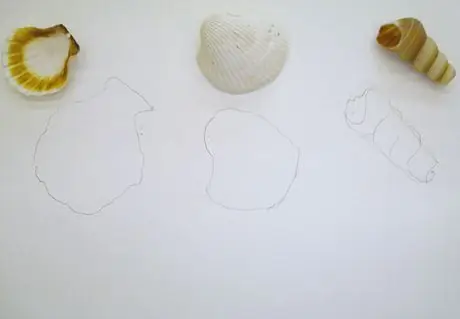 Морской зверь Морской зверь