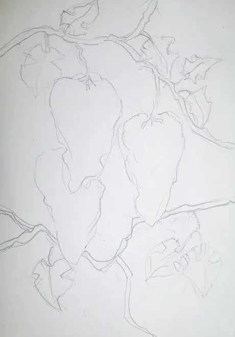 Drawgrapes, лозы, листья Drawgrapes, лозы, листья