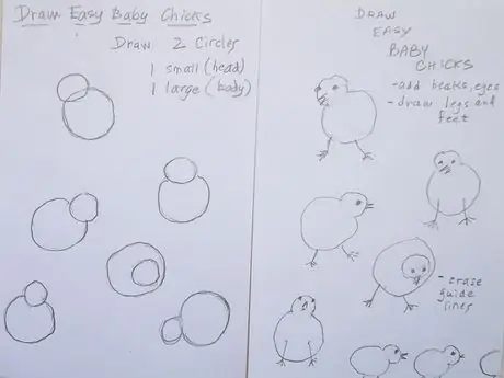 Drawchicks Drawchicks