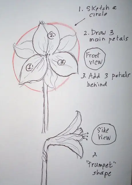 Howtodrawam Howtodrawam