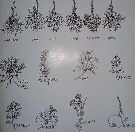 Studycomherbs Studycomherbs