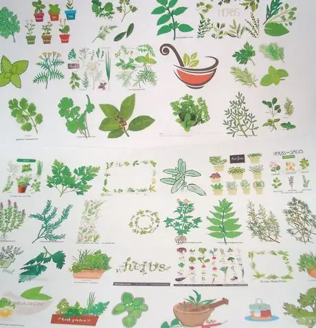 Diffinherbs Diffinherbs