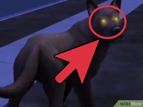 Сделайте оборотня в The Sims 2, шаг 1 Сделайте оборотня в The Sims 2, шаг 1