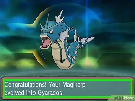 Evolve Magikarp, шаг 2 Evolve Magikarp, шаг 2