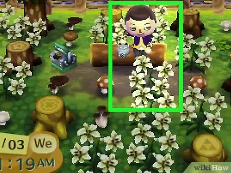Получите синие розы и фиолетовые анютины глазки в Animal Crossing_ New Leaf, шаг 5 Получите синие розы и фиолетовые анютины глазки в Animal Crossing_ New Leaf, шаг 5