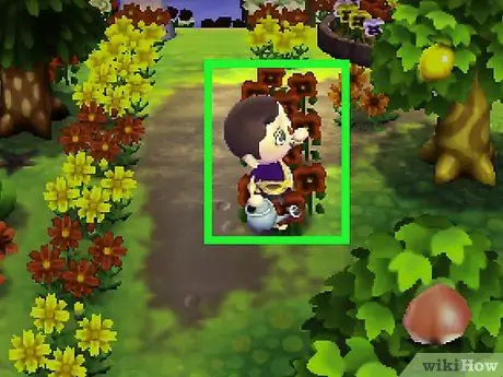 Получите синие розы и фиолетовые анютины глазки в Animal Crossing_ New Leaf, шаг 6 Получите синие розы и фиолетовые анютины глазки в Animal Crossing_ New Leaf, шаг 6