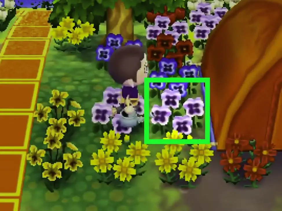 Как получить синие розы и фиолетовые анютины глазки в Animal Crossing: New Leaf