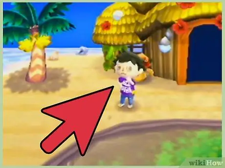 Получите загар в Animal Crossing_ New Leaf, шаг 2 Получите загар в Animal Crossing_ New Leaf, шаг 2