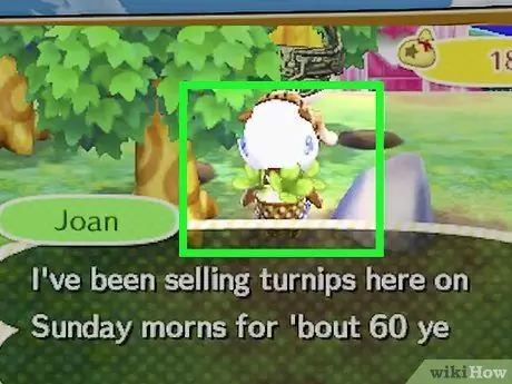 Выплата ссуд в Animal Crossing New Leaf Шаг 1 Выплата ссуд в Animal Crossing New Leaf Шаг 1