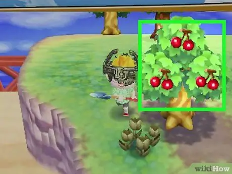 Выплата ссуд в Animal Crossing New Leaf Шаг 3 Выплата ссуд в Animal Crossing New Leaf Шаг 3