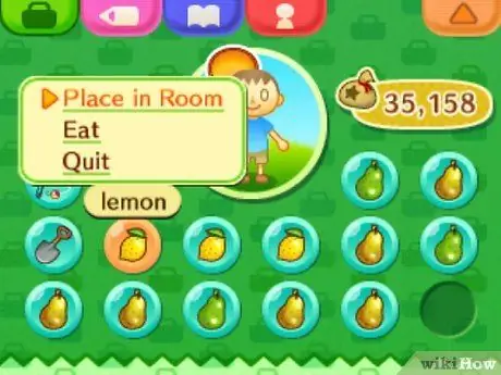 Сохраните место в кармане в Animal Crossing, шаг 11 Сохраните место в кармане в Animal Crossing, шаг 11