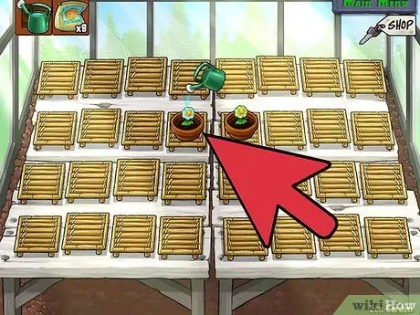 Получите растения для своего дзен-сада в игре Plant Vs. Зомби Шаг 7 Получите растения для своего дзен-сада в игре Plant Vs. Зомби Шаг 7