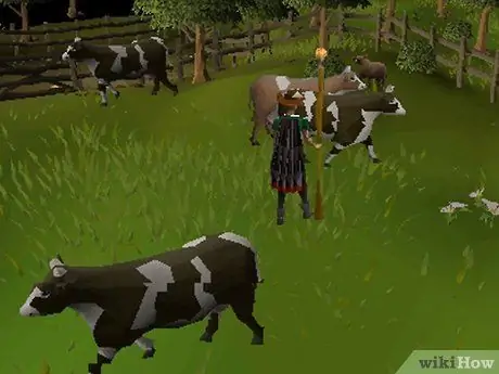 Зарабатывайте на RuneScape, используя метод воловьей кожи Шаг 1 Зарабатывайте на RuneScape, используя метод воловьей кожи Шаг 1