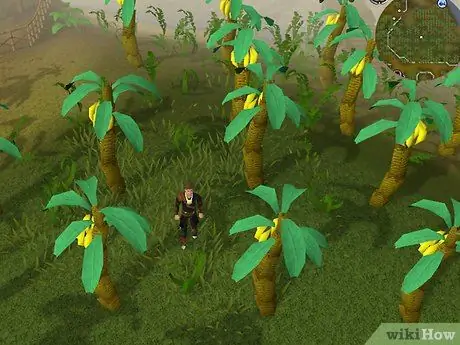 Зарабатывайте деньги, тренируя магию в RuneScape, шаг 14 Зарабатывайте деньги, тренируя магию в RuneScape, шаг 14