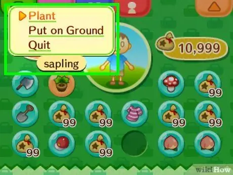 Выращивайте грибы в Animal Crossing_ New Leaf, шаг 1 Выращивайте грибы в Animal Crossing_ New Leaf, шаг 1