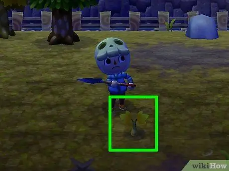 Выращивайте грибы в Animal Crossing_ New Leaf, шаг 2 Выращивайте грибы в Animal Crossing_ New Leaf, шаг 2