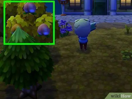 Выращивайте грибы в Animal Crossing_ New Leaf Step 3 Выращивайте грибы в Animal Crossing_ New Leaf Step 3