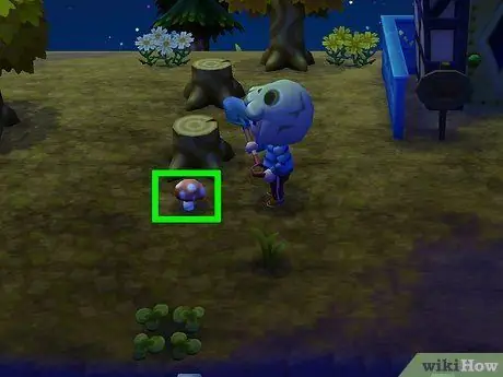 Выращивайте грибы в Animal Crossing_ New Leaf Step 9 Выращивайте грибы в Animal Crossing_ New Leaf Step 9