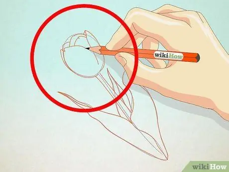 Рисуем тюльпан Шаг 3 Рисуем тюльпан Шаг 3