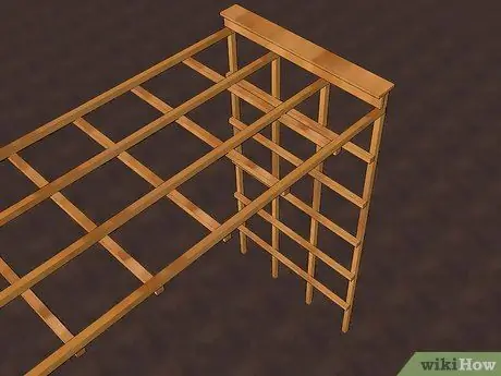 Выращивание тыкв, шаг 3