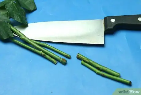 Красить сушеные розы Шаг 8 Красить сушеные розы Шаг 8