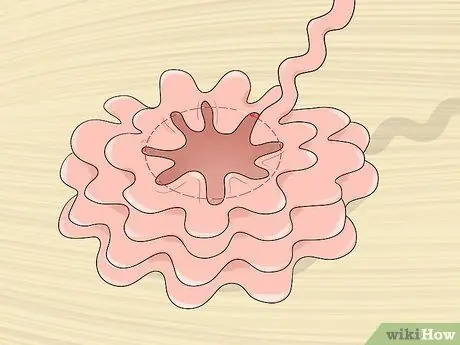 Make Ric Rac Flowers Шаг 14 Make Ric Rac Flowers Шаг 14