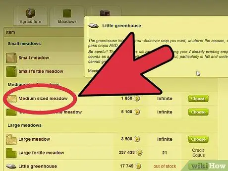 Начать конный центр на Howrse Step 3