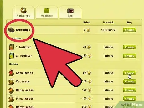 Начните конный центр на Howrse Step 4