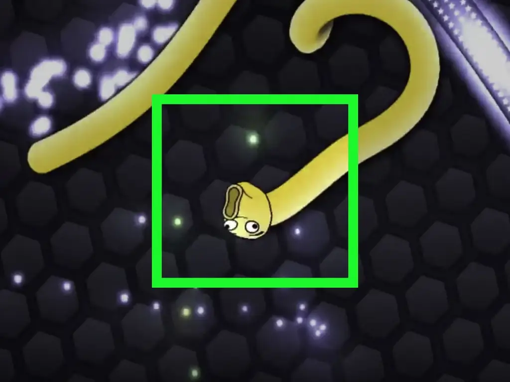 Как попасть в таблицу лидеров Slither.io: 6 шагов