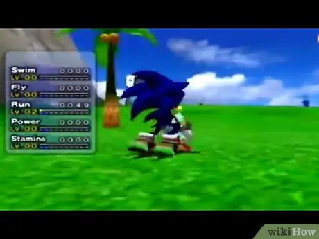 Получите Sonic Chao, шаг 2 Получите Sonic Chao, шаг 2