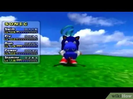 Получите Sonic Chao, шаг 9 Получите Sonic Chao, шаг 9