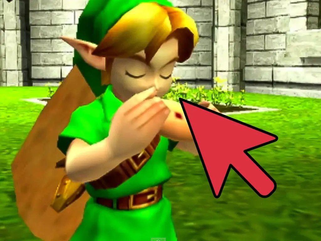 14 способов сэкономить в The Legend of Zelda Games
