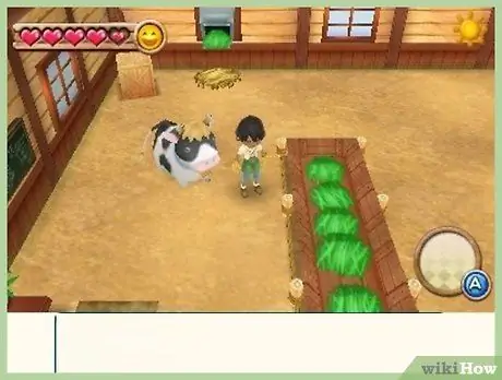Выйти замуж за Нила в Harvest Moon (ANB), шаг 3 Выйти замуж за Нила в Harvest Moon (ANB), шаг 3