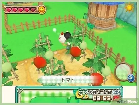 Выйти замуж за Нила в Harvest Moon (ANB) Шаг 9 Выйти замуж за Нила в Harvest Moon (ANB) Шаг 9