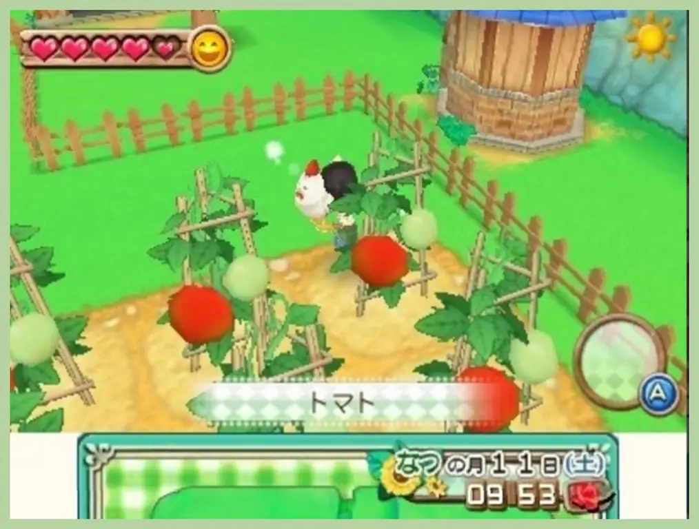 Как выйти замуж за Нила в Harvest Moon (ANB): 9 шагов (с иллюстрациями)