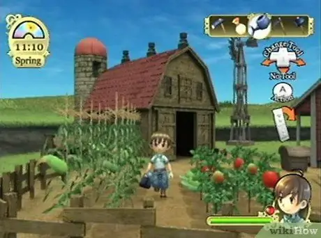 Сыграть в Harvest Moon Tree of Tranquility, шаг 4