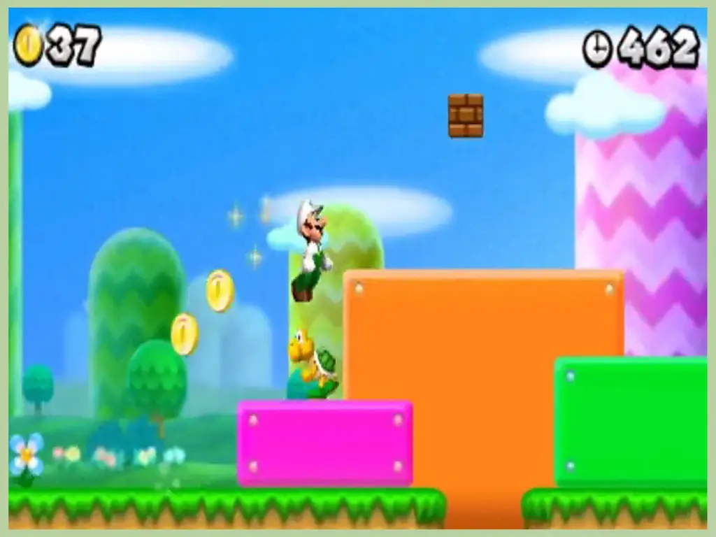 Как получить Луиджи в New Super Mario Bros. DS: 13 шагов