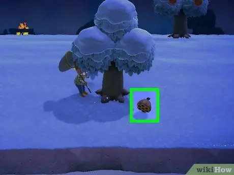 Избегайте ужаливания осами в Animal Crossing_ New Horizons, шаг 5 Избегайте ужаливания осами в Animal Crossing_ New Horizons, шаг 5
