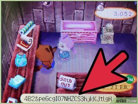 Используйте игровые коды в Animal Crossing, шаг 3 Используйте игровые коды в Animal Crossing, шаг 3