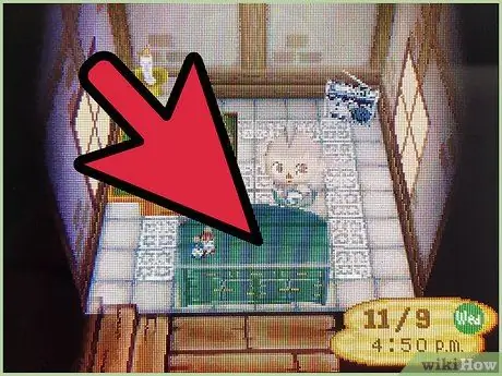 Используйте игровые коды в Animal Crossing, шаг 9 Используйте игровые коды в Animal Crossing, шаг 9