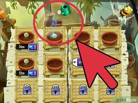 Позаботьтесь о дзен-садовых растениях в игре Plants vs Zombies 2, шаг 12