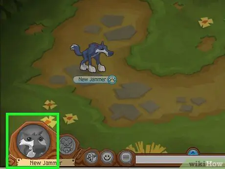 Создайте учетную запись на Animal Jam Шаг 12 Создайте учетную запись на Animal Jam Шаг 12