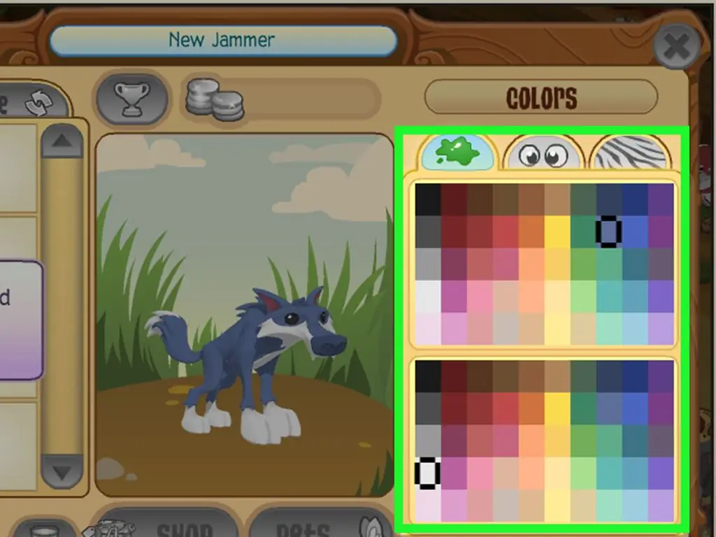 Как создать аккаунт на Animal Jam (с изображениями)