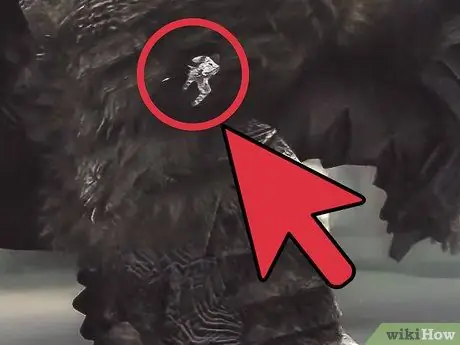 Найдите и победите второго колосса в Shadow of the Colossus. Шаг 11 Найдите и победите второго колосса в Shadow of the Colossus. Шаг 11