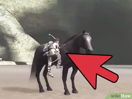 Найдите и победите второго колосса в Shadow of the Colossus. Шаг 9 Найдите и победите второго колосса в Shadow of the Colossus. Шаг 9