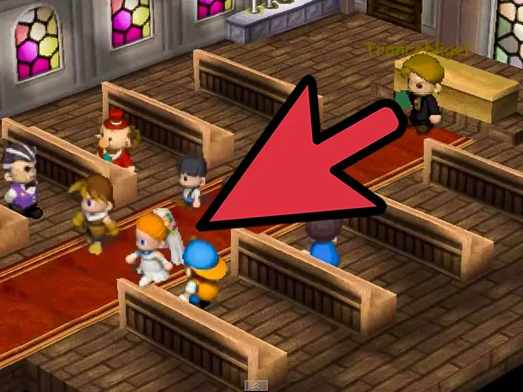 Как выйти замуж за Энн из Harvest Moon: Friends at Mineral Town