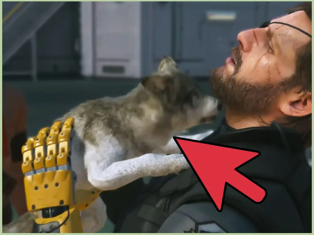 Как получить D Dog в Metal Gear Solid V: 7 шагов (с изображениями)